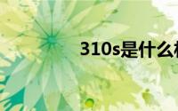 310s是什么材质（310s）