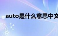 auto是什么意思中文翻译（auto是什么）