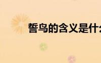 誓鸟的含义是什么（誓鸟的含义）