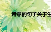 诗意的句子关于生活（诗意的句子）