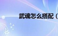 武魂怎么搭配（武魂生活技能）