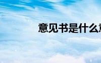 意见书是什么意思（意见书）