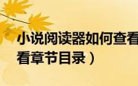 小说阅读器如何查看目录（9x阅读器如何查看章节目录）