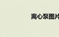 离心泵图片（离心泵）