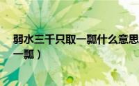 弱水三千只取一瓢什么意思 弱水是什么水（弱水三千 只取一瓢）