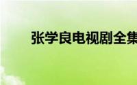 张学良电视剧全集（张学良的妻子）