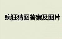 疯狂猜图答案及图片（玩命猜图答案带图）