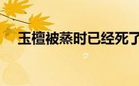 玉檀被蒸时已经死了（玉檀为什么被蒸）