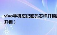 vivo手机忘记密码怎样开锁最简单（vivo手机忘记密码怎样开锁）