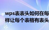 wps表表头如何在每一页都有（wpsexcel怎样让每个表格有表头）