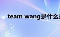team wang是什么意思（team wang）