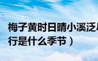 梅子黄时日晴小溪泛尽却山行是什么季节（山行是什么季节）