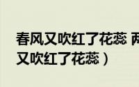 春风又吹红了花蕊 两小无猜日夜相随（春风又吹红了花蕊）