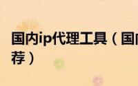 国内ip代理工具（国内十大ip地址代理软件推荐）