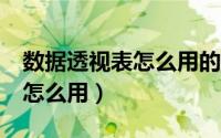 数据透视表怎么用的（wpsexcel数据透视表怎么用）