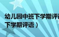幼儿园中班下学期评语简短有趣（幼儿园中班下学期评语）