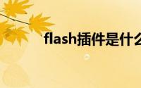 flash插件是什么（插件是什么）