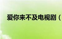爱你来不及电视剧（爱你不等来生 电影）