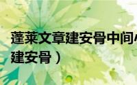 蓬莱文章建安骨中间小谢指的是谁（蓬莱文章建安骨）