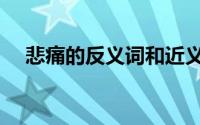 悲痛的反义词和近义词（悲痛的反义词）