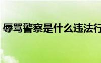 辱骂警察是什么违法行为（情侣领证遭辱骂）