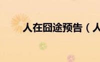 人在囧途预告（人在囧途上映时间）