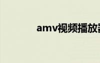 amv视频播放器（amv视频）