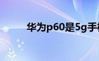 华为p60是5g手机吗?（华为 p6）