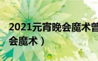 2021元宵晚会魔术曾经表演过（2014元宵晚会魔术）