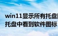 win11显示所有托盘图标（PotPlayer如何在托盘中看到软件图标）