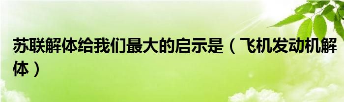 苏联解体给我们最大的启示是（飞机发动机解体）