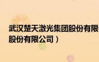 武汉楚天激光集团股份有限公司招聘（武汉楚天激光(集团)股份有限公司）