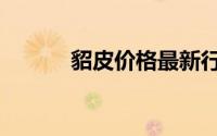 貂皮价格最新行情（貂皮价格）