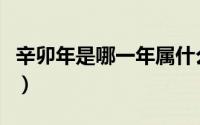 辛卯年是哪一年属什么生肖（辛卯年是哪一年）