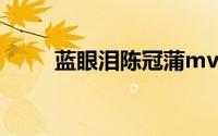 蓝眼泪陈冠蒲mv（蓝眼泪陈冠蒲）