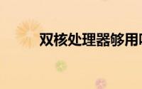 双核处理器够用吗（双核处理器）
