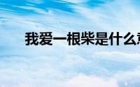 我爱一根柴是什么意思（我爱一根柴）