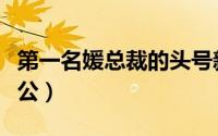 第一名媛总裁的头号新妻（步步逼婚抢来的老公）