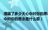 埋藏了多少天心中对你的思念歌名叫什么（埋藏了多少天心中对你的思念是什么歌）