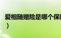 爱相随赠险是哪个保险公司（爱相随定期寿险）