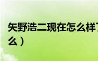 矢野浩二现在怎么样了（矢野浩二现在在做什么）
