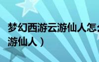 梦幻西游云游仙人怎么修改方案（梦幻西游云游仙人）