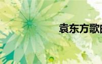 袁东方歌曲（袁东）