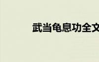 武当龟息功全文（武当龟息功）