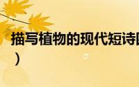 描写植物的现代短诗四年级（现代短诗四年级）