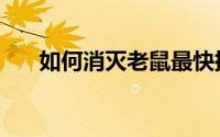 如何消灭老鼠最快捷（如何消灭老鼠）