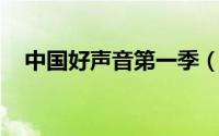 中国好声音第一季（林芯仪 中国好声音）