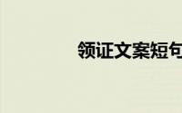 领证文案短句（领证文案）