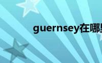 guernsey在哪里（guernsey）