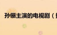 孙俪主演的电视剧（拼塔安主演的电视剧）